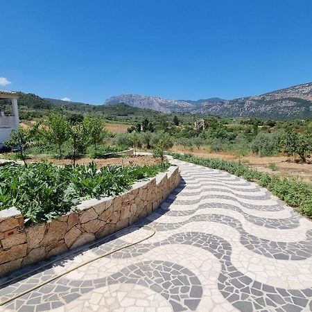 Villa Biriculi Доргали Екстериор снимка