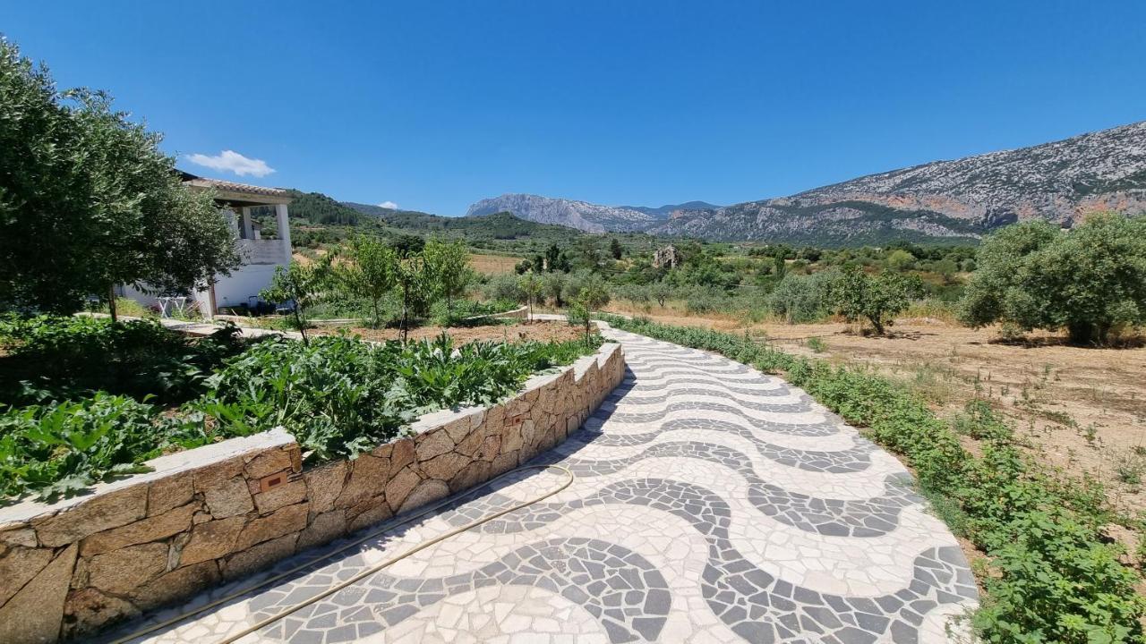 Villa Biriculi Доргали Екстериор снимка