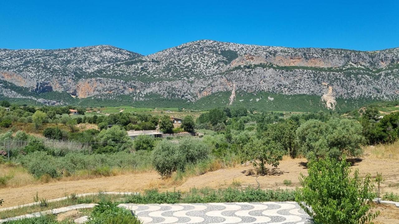 Villa Biriculi Доргали Екстериор снимка
